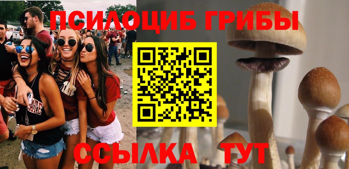 Галлюциногенные грибы Psilocybine cubensis  Вход с VPN  Псилоцибиновые грибы Psilocybine cubensis  закладка  Орёл 