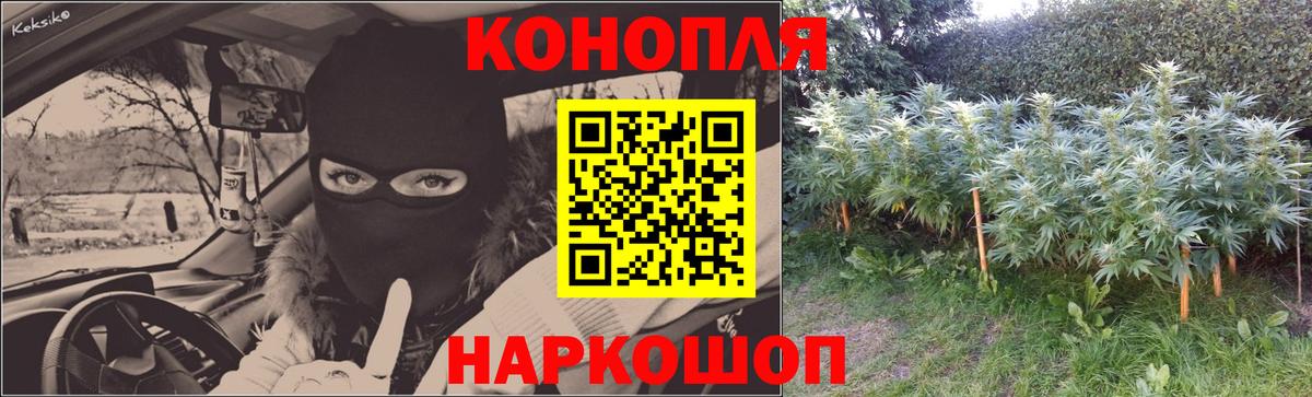 Бошки Шишки марихуана Орёл